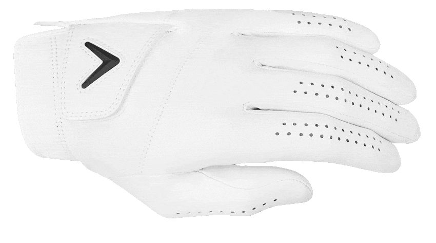 Tour Authentic, OPTI Color, and Weather Spann golf gloves