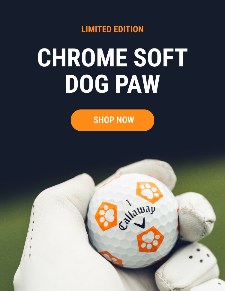 Limited Edition Chrome Soft Truvis Dog Paw | Shop Now