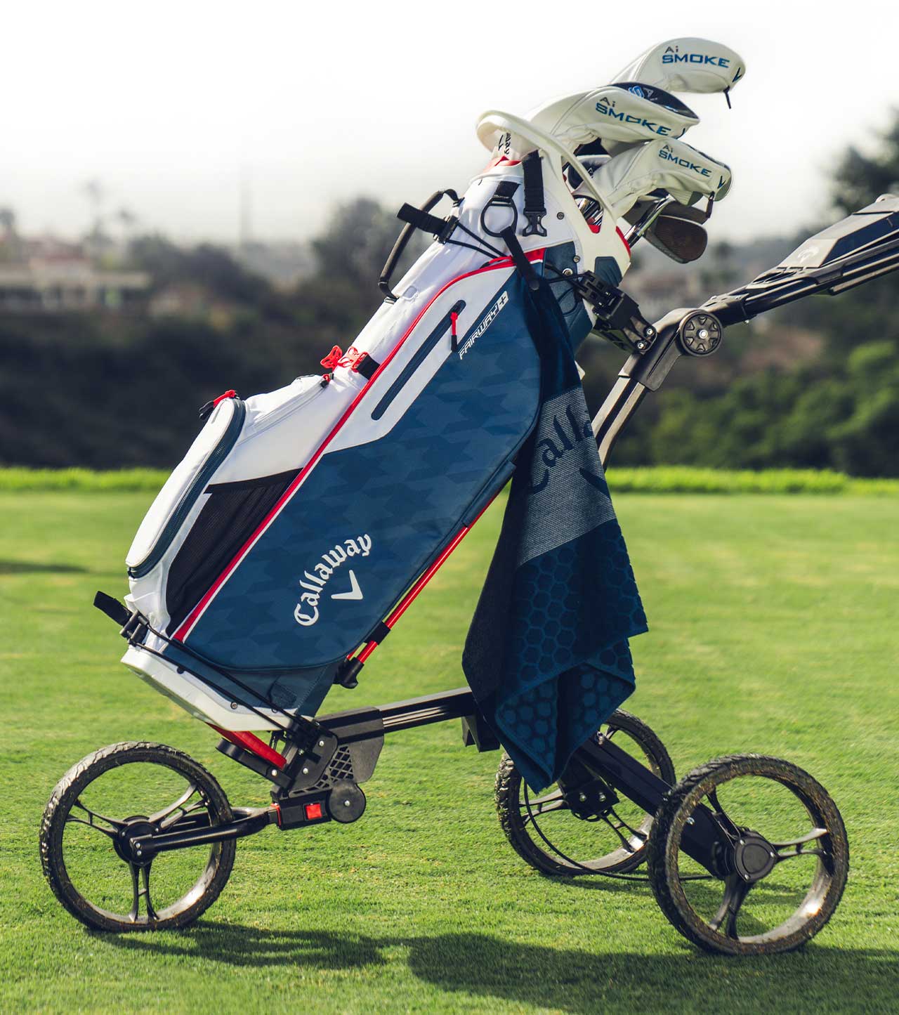 Fairway + Stand Bag