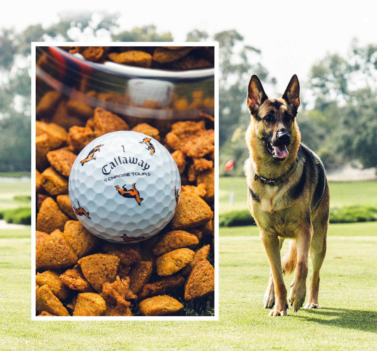 Chrome Tour June Major Ball