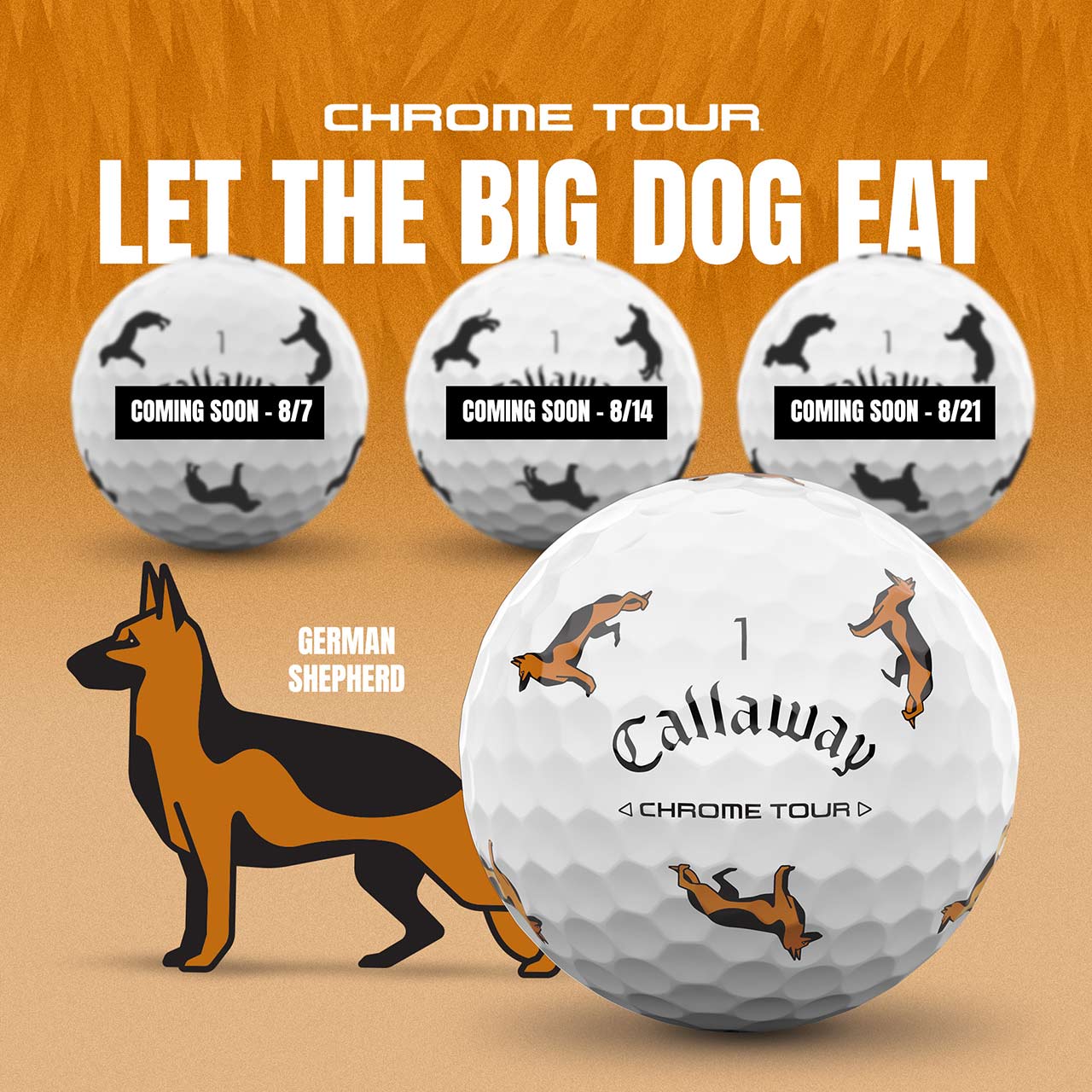 Chrome Tour | Let The Big Dog Eat