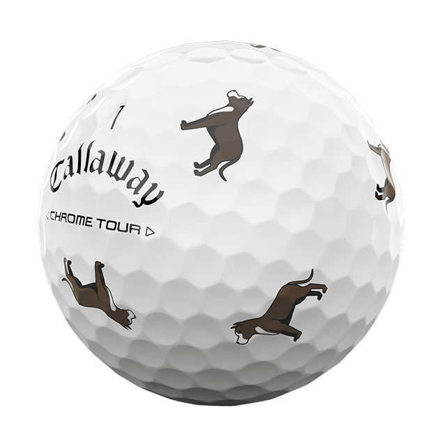 Chrome Tour Big Dog: Pit Bull