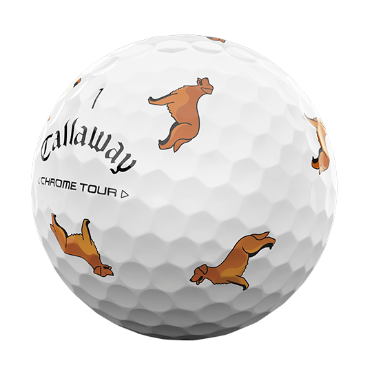 Chrome Tour Big Dog: Golden Retriever