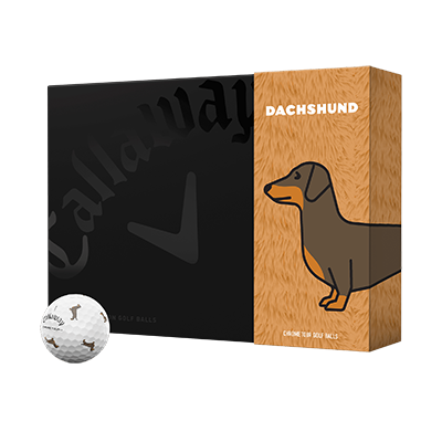 Chrome Tour Small Dogs Dachshund