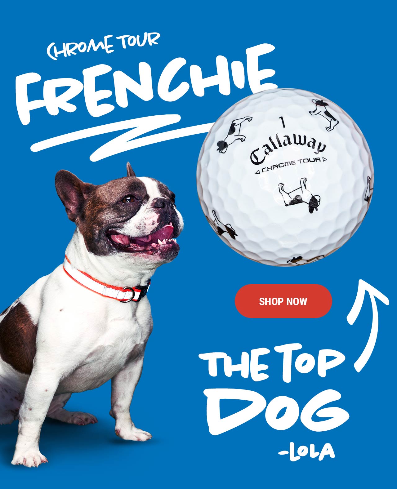 Chrome Tour Small Dogs Frenchie Ball | Shop Now