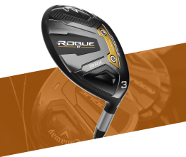 rogue st