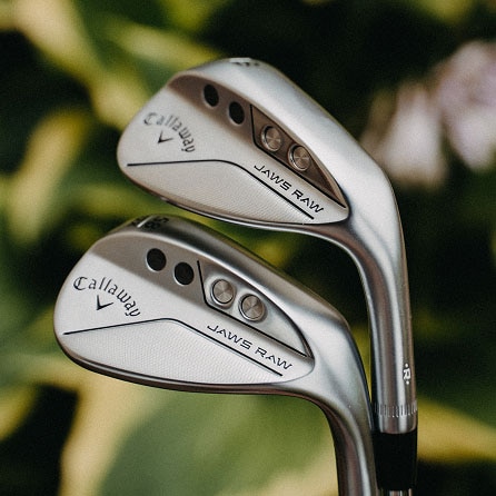jaws raw wedge