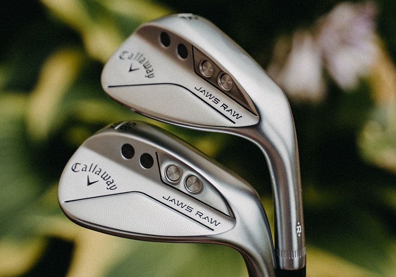 jaws raw wedge