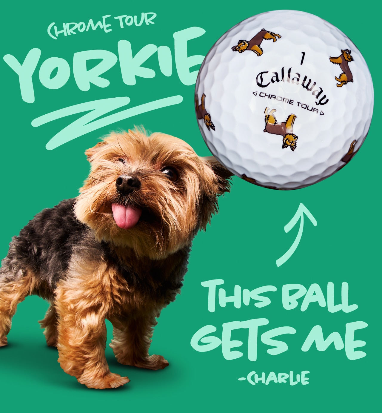 Chrome Tour Small Dogs Yorkie Ball